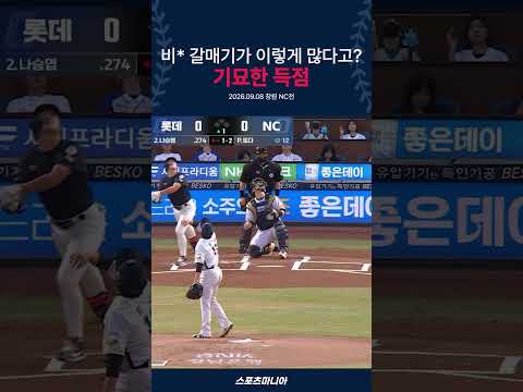 비~<strong>밀</strong> 갈~매기 곰마 워~🫰🏻