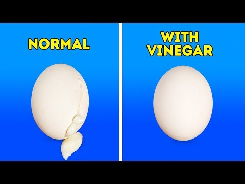 20 KITCHEN HACKS YOU CAN'T MISS - UC295-Dw_tDNtZXFeAPAW6Aw