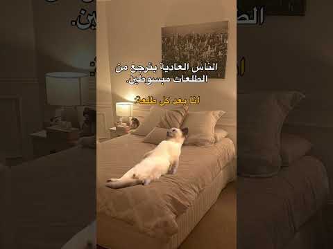 حقيقة🤣 #explore #viral #shorts #ضحك #ميمز