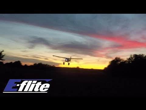 E flite UMX Timber - Total loss of control, little crash & new plane ! - UCfQkovY6On1X9ypKUr9qzfg