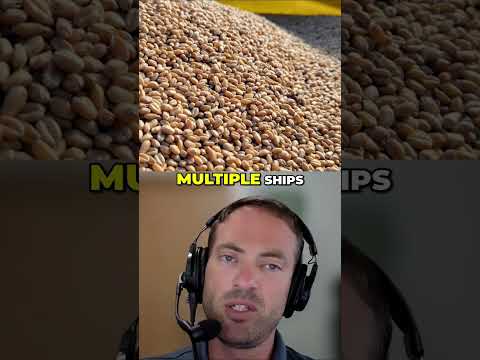 Churchill Port Reopens: Grain Shipments Resume After 6 Years! #shorts