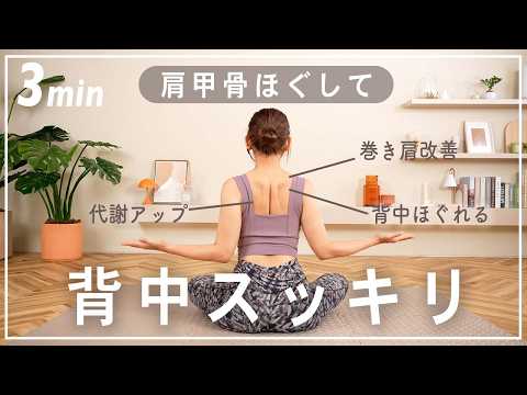 ３分肩甲骨を動かして猫背・巻き肩・肩こり改善！代謝アップも！