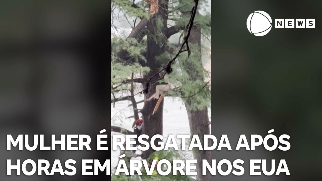 Mulher é resgatada após horas agarrada em árvore no Texas