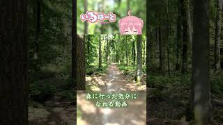 【声マネキング】夏休みスペシャル_森に行った気分になれる動画 #shorts #vtuber #ゲーム実況 #声マネキング  #いるはーと