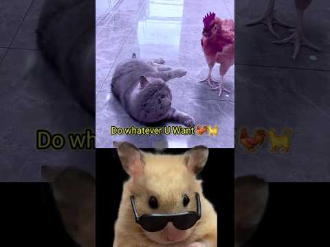 Swag level😱🔥| #shorts #shortsfeed