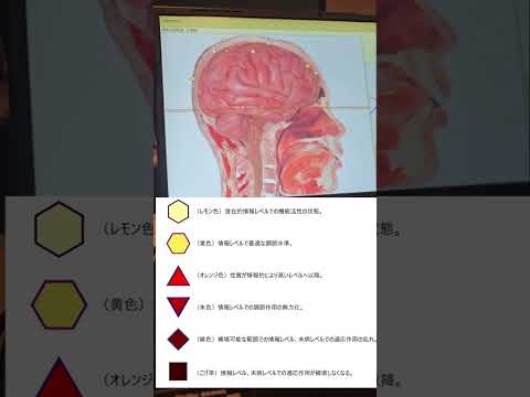 腦波健康診斷