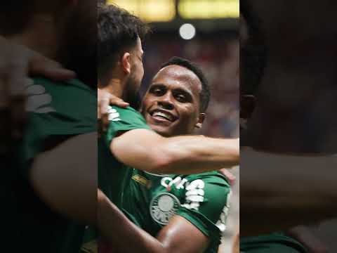 image para ilustrar o artigo