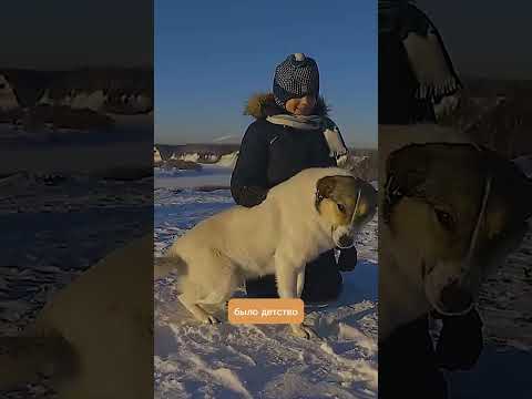 🚐✨ А у вас было настоящее детство?