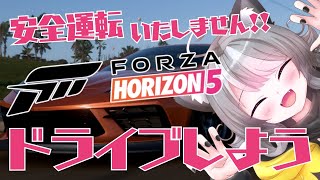 【Forza Horizon 5】参加型 メキシコを駆け抜けろ！悲鳴が鳴り響くドライブ配信【VTuber 晩景緋音】56