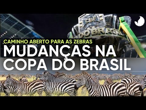 image para ilustrar o artigo