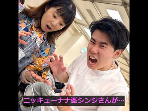 【蟲神器】コカマキリ入り色彩が優勝！#蟲神器 #ダイソー #ニッキューナナ
