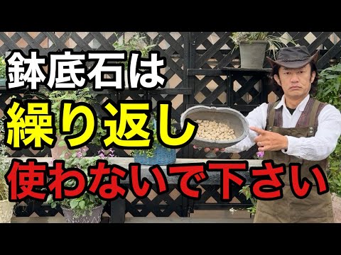 【目からウロコ】あなたが使ってる鉢底石の落とし穴教えます　　【カーメン君】【園芸】【花ごころ】【くり返し何度も使える鉢底石】