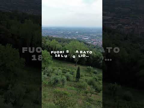 🎵 Fisarmonica in Campagna | Folk Balera per Ballo e Relax🌾1 Ora Liscio Italia #liscio #folk #shorts