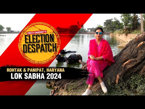 Election Despatch With Preeti Choudhry | Will BJP Sweep Haryana Again? |  Lok Sabha Election 2024