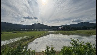 上手い人は上手い絵を見ながら描いている。だからもっと上手くなる。