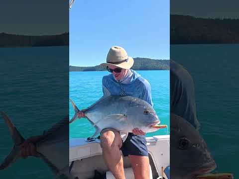 Big Fish Small Lure