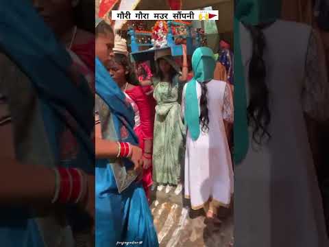 GAURI GAURA SONG गौरी गौरा सॉन्ग शॉट्स वीडियो स्टेटस chhatosgarh 🙌‼️