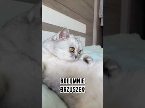 Dzisiaj zakończenie roku szkolnego ?