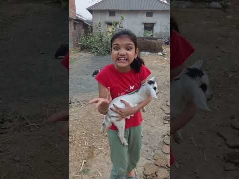 Dil Galti kar baitha hai 😮😂#kritikachannel#Shorts#funnyshorts#comedyshorts