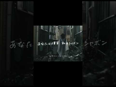 ラブリーサマーちゃん「あなたは煙草 私はシャボン」② #ラブリーサマーちゃん #LSC #あなたは煙草私はシャボン #儚い