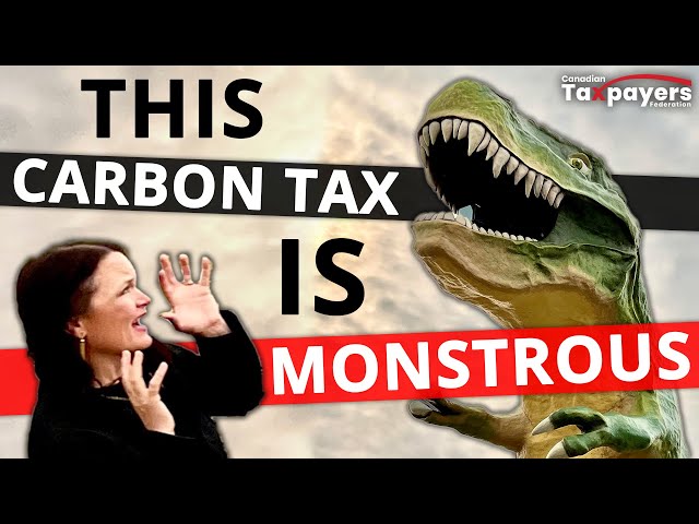 a-carbon-tax-explained-carbon-tax-basics-taxedu