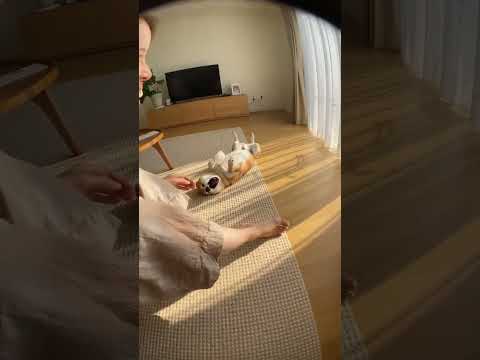 그 정도야? 어이가 없네!