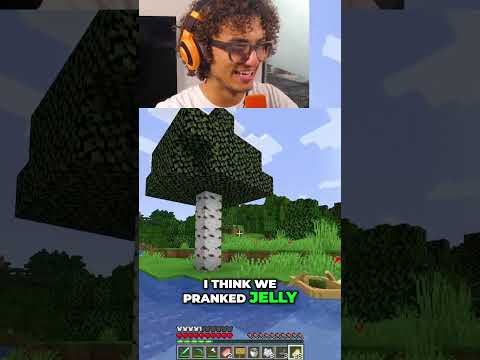 Kwebbelkop