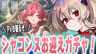 【#鳴潮 】シャコンヌお迎えガチャするぞい！見れてなかったPVも観る！　76日目【#鷺原鈴音 / Vtuber】
