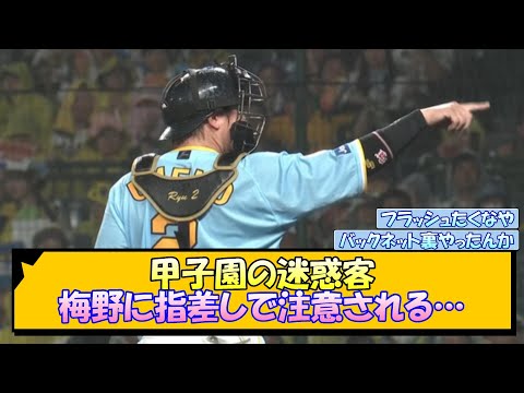 【阪神】甲子園の迷惑客 梅野に指差しで注意される…【なんJ/2ch/5ch/ネット 反応 まとめ/阪神タイガース/岡田監督】