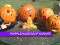 PurpleHazeGoofyGrape