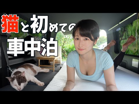 猫と車中泊！？最高のお泊まりに大興奮！