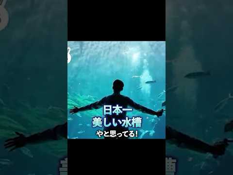 猫の動画サムネイル - 【宇宙×水族館】プラネタリウムがある水族館⁉️🪼