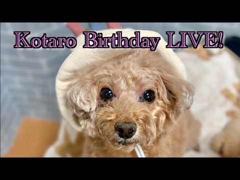 虎太郎9歳誕生日LIVE🎉