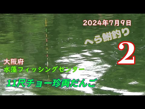 11尺チョーチン両だんご 水藻フィッシングセンター オヤジたちの夏休み　へら鮒釣り