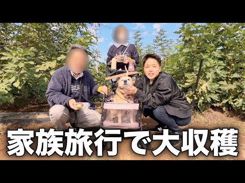 両親&愛犬と楽しむ秋の家族旅行が幸せすぎたw