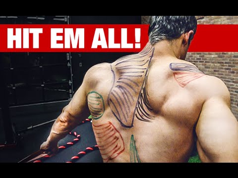 Best Back Workout Video Ever (HIT EVERY MUSCLE!!) - UCe0TLA0EsQbE-MjuHXevj2A