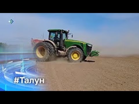 Талун. 03.06.2024