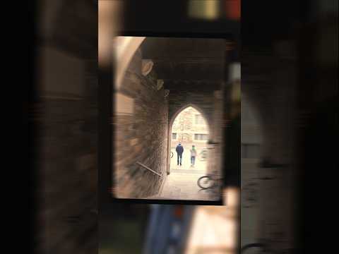 Autumn in Princeton #travel #nature #naturelovers #autumn #university #taylorswift #song #shorts