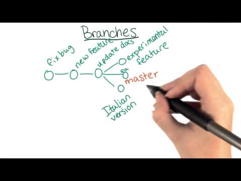 Branches - How to Use Git and GitHub - UCBVCi5JbYmfG3q5MEuoWdOw