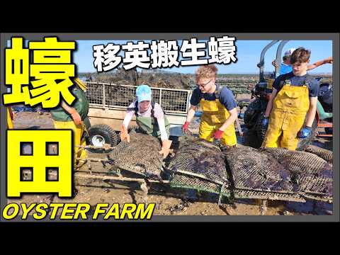 縮圖