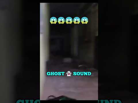 ghost sound ghost voice mysterious noise gray wolf ghost video 😨😱#graywolf #ghosts #shorts