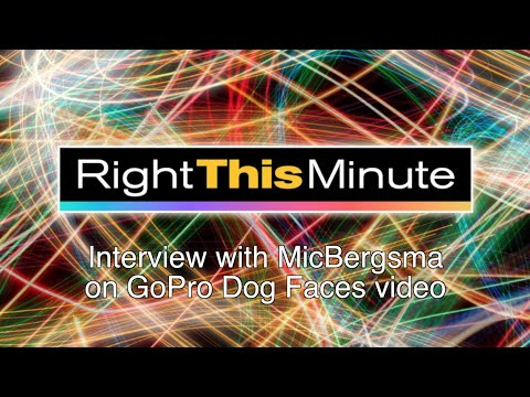 Right This Minute Interview on GoPro Dog Faces video - UCTs-d2DgyuJVRICivxe2Ktg