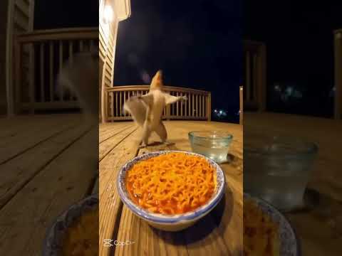 Coi và mắc cười :)) #cachualanh #xuhuongyt #notoxic cre on vd