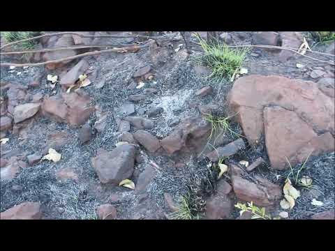 The Last Aussie Road Trip 2025 part 18