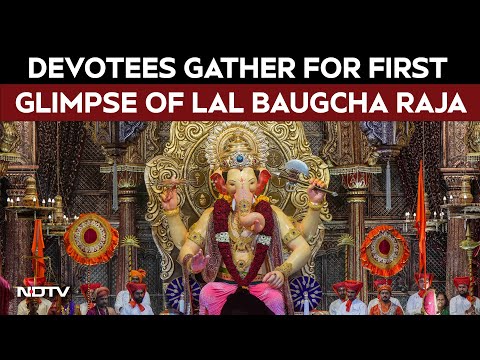 Ganpati Bappa | Devotees Gather for First Glimpse of Lal Baugcha Raja Ahead of Ganesh Chaturthi