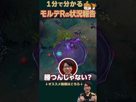 【SHG Evi】えびべた褒めのらいじんコール！1分で分かるモルデRの状況報告！ #shorts  #leagueoflegends