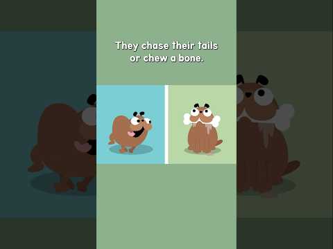 Can Your Dogs Play An Instrument? #saxamaphone #saxaphone #animalsong