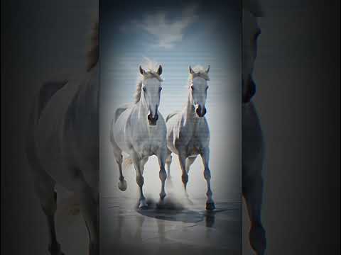 من معاني الخيل في المنام #تفسير_الاحلام