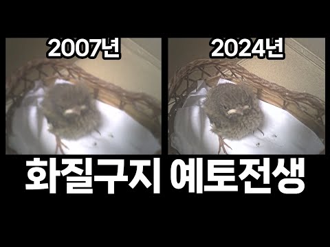 2024년 최고의 이미지 복원 알고리즘 - SUPIR