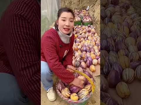 जादू #funny #cartton #comedycartoon #funnycartoo #comedytvshow #comedy #toonindia #animatedcartoon